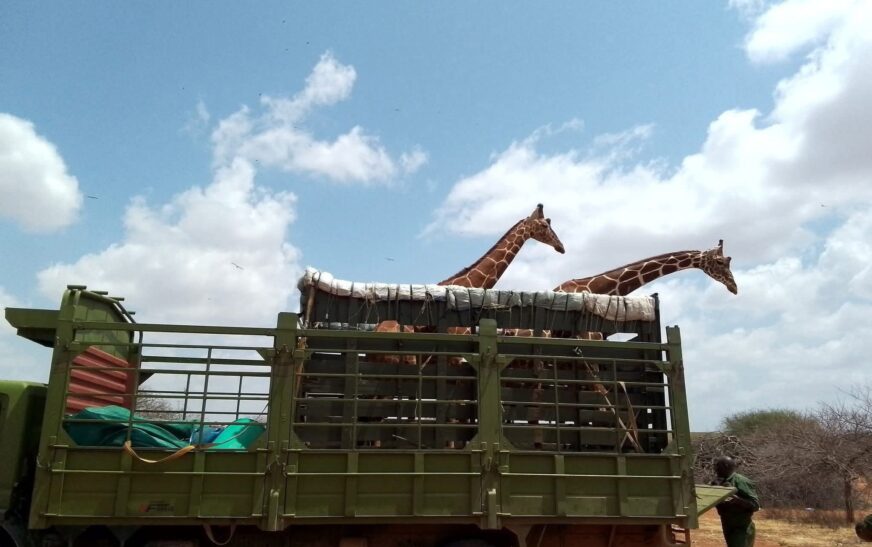 FD6A14DF CA93 489E B89C 04A69EB62F81