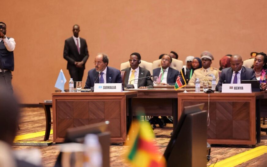 Support Without Strings? Hassan Sheikh’s Selective Approach to Governance
